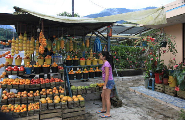Fruitkraam langs de weg naar Baños
